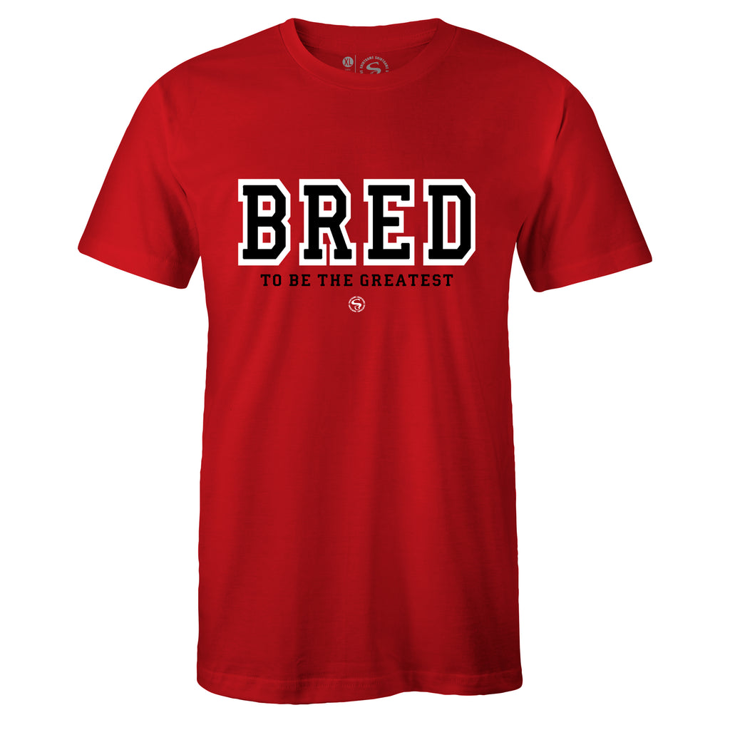 bred 11 shirt
